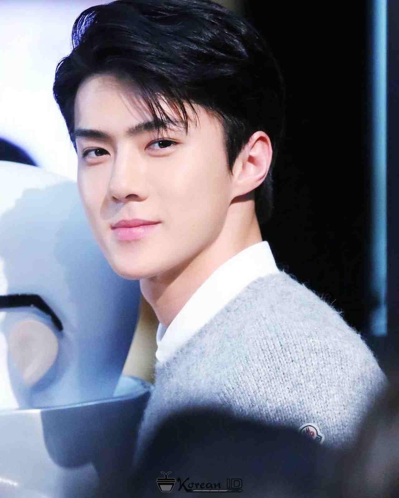 Detail Foto Sehun Exo Terbaru Nomer 8