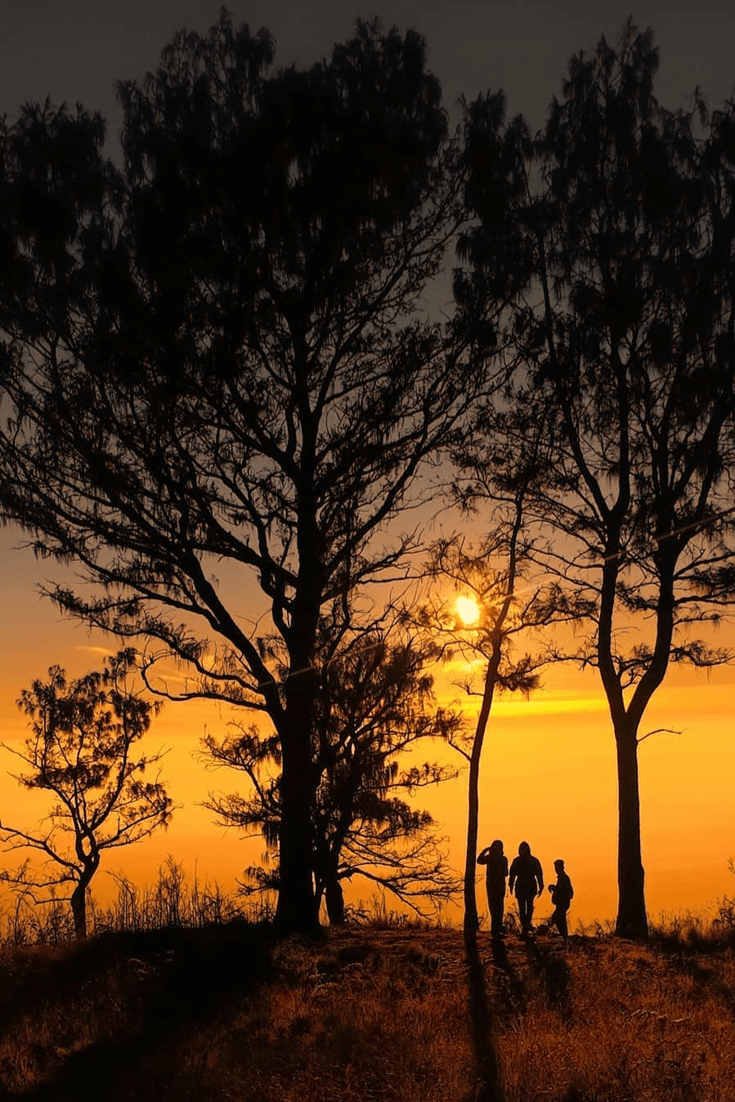 Detail Foto Senja Di Gunung Nomer 11