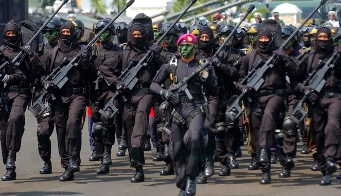 Detail Foto Senjata Tni Nomer 23