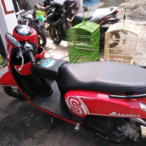 Detail Foto Sepeda Motor Scoopy Nomer 46