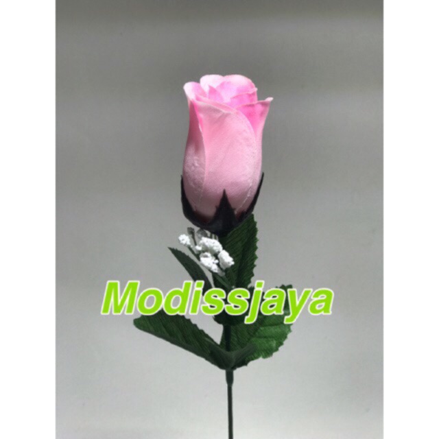 Detail Foto Setangkai Bunga Mawar Pink Nomer 10