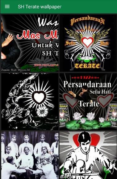 Download Foto Sh Teratai Nomer 15