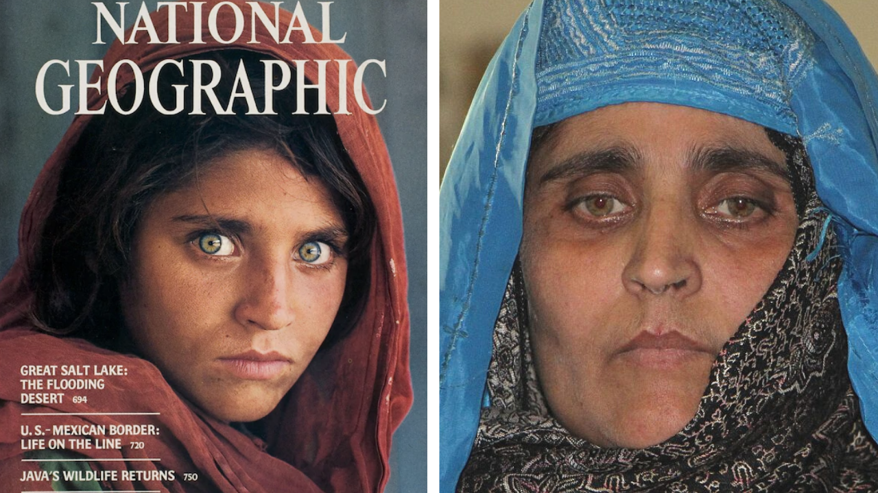 Detail Foto Sharbat Gula Nomer 6