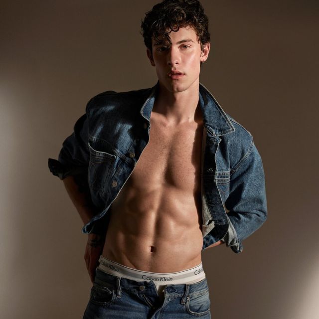 Detail Foto Shawn Mendes Terbaru Nomer 3