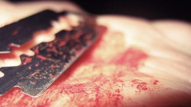 Detail Foto Silet Tangan Nomer 11