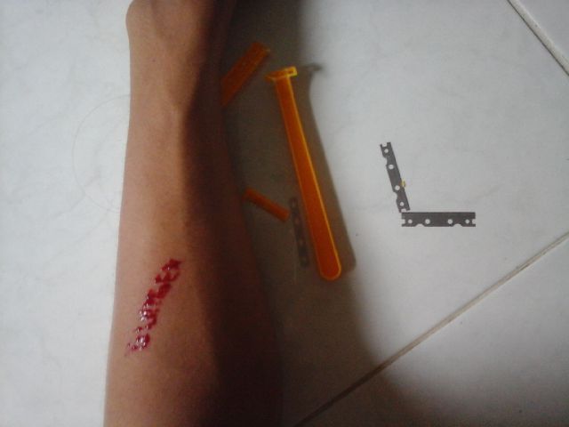 Detail Foto Silet Tangan Nomer 16