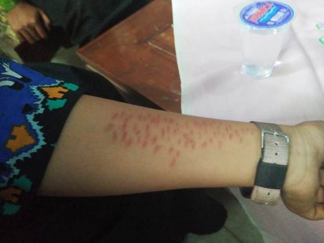 Detail Foto Silet Tangan Nomer 9