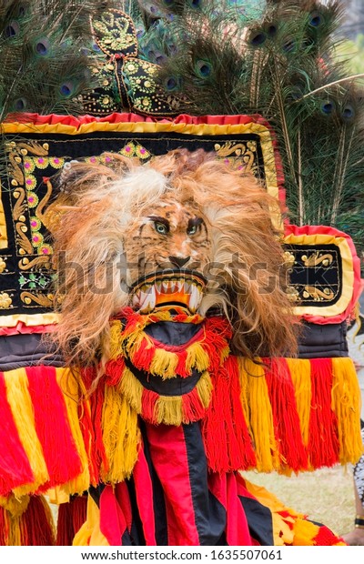 Detail Foto Singa Barong Nomer 11