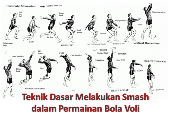 Detail Foto Smash Bola Voli Nomer 14