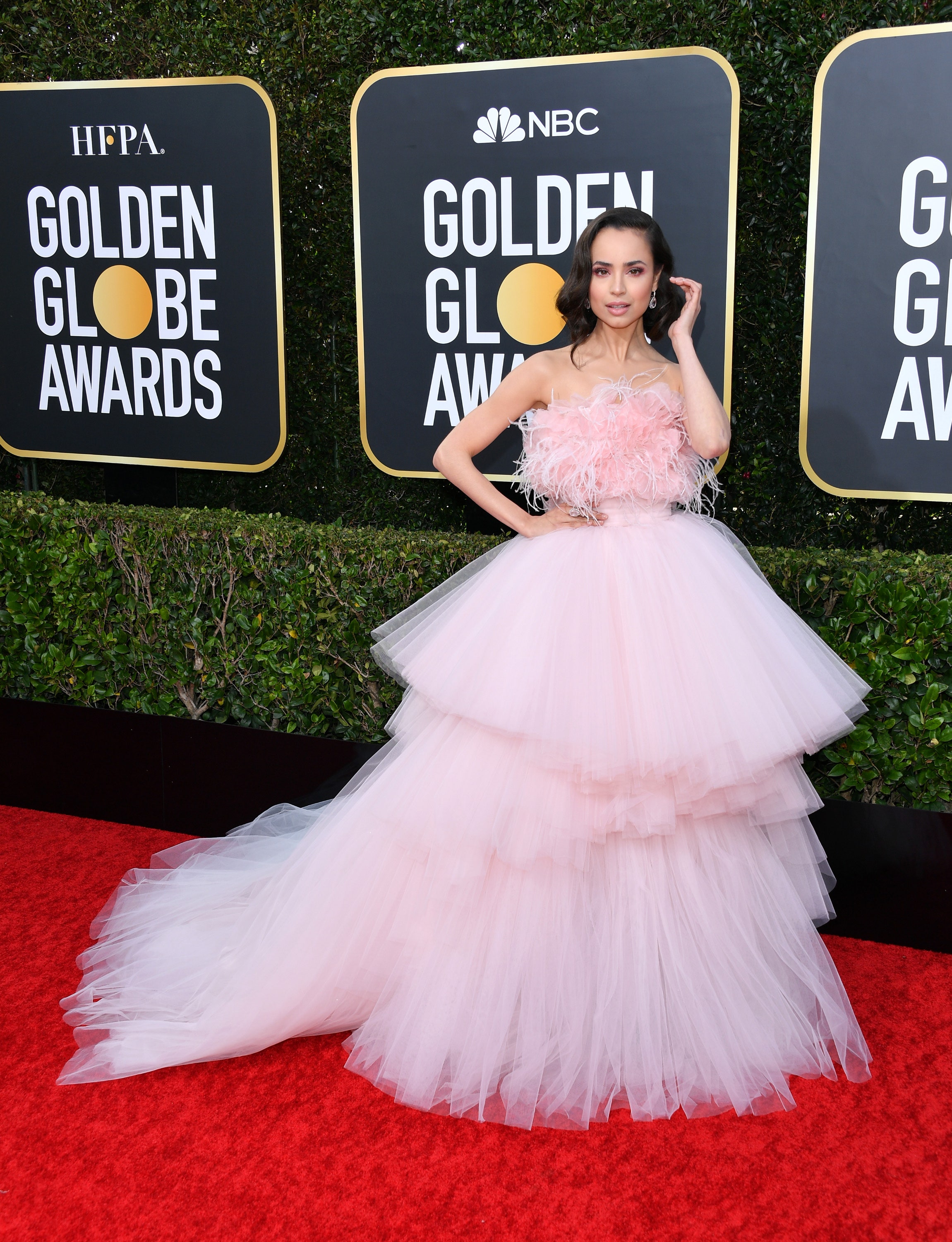 Detail Foto Sofia Carson Nomer 30