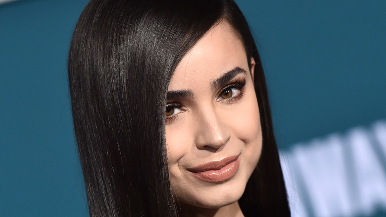 Detail Foto Sofia Carson Nomer 43