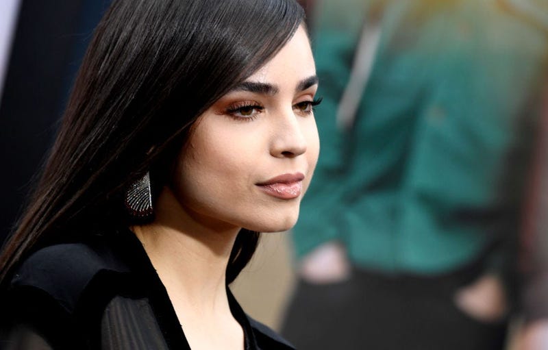 Detail Foto Sofia Carson Nomer 58