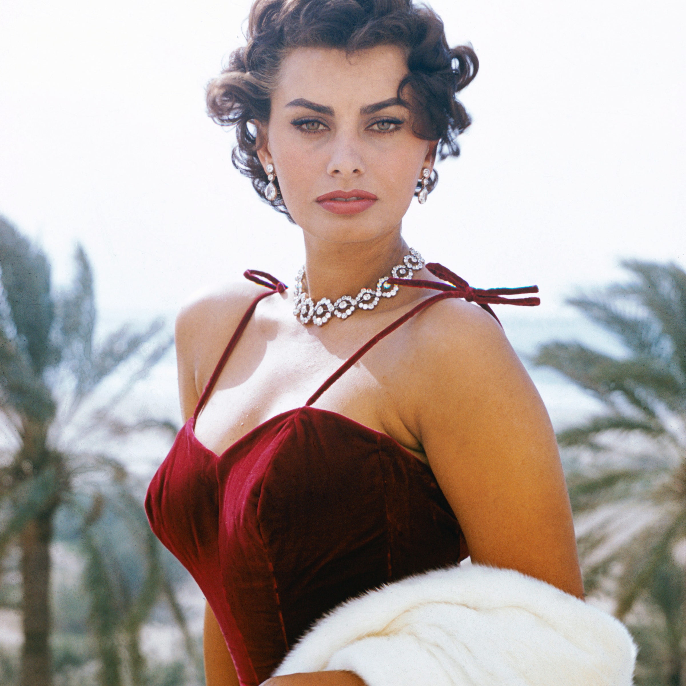 Detail Foto Sophia Loren Nomer 19