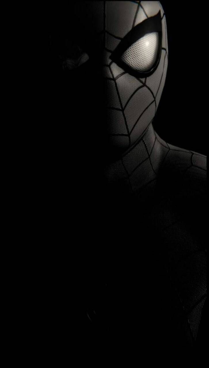 Detail Foto Spiderman Hitam Nomer 28