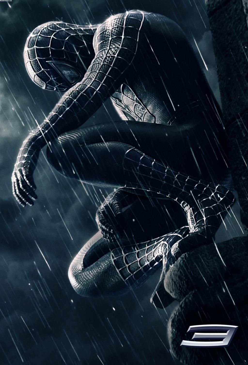 Detail Foto Spiderman Hitam Nomer 6