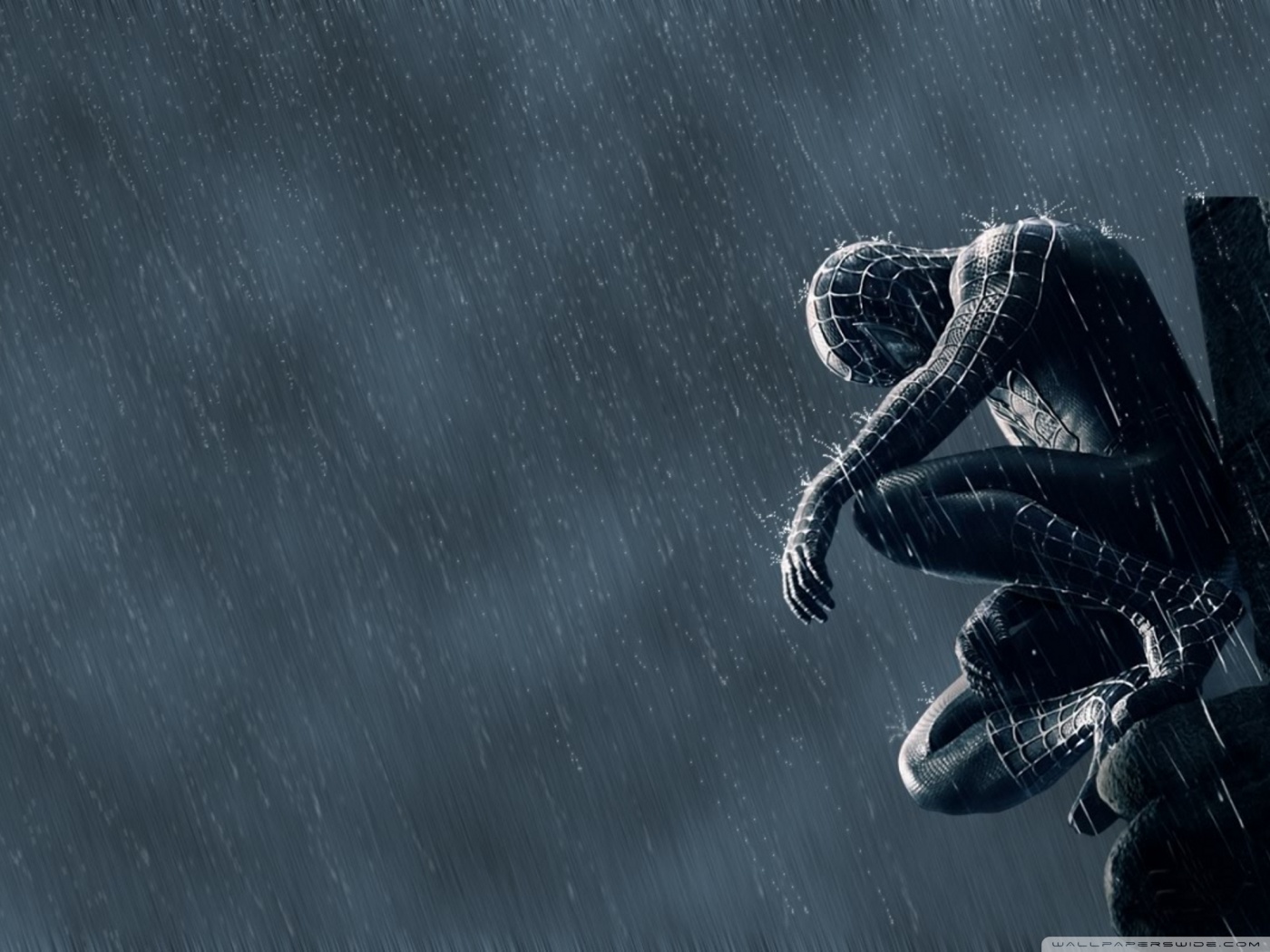 Detail Foto Spiderman Hitam Nomer 10