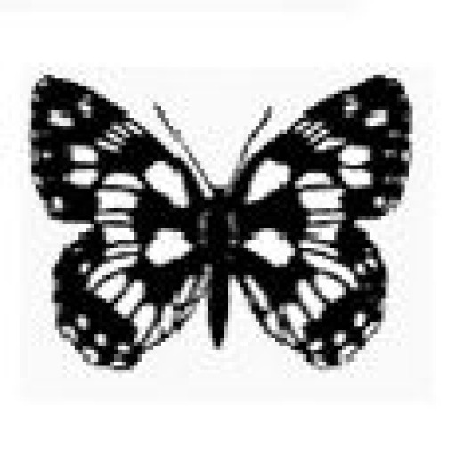 Detail Brauner Schmetterling Mit Punkten Nomer 19