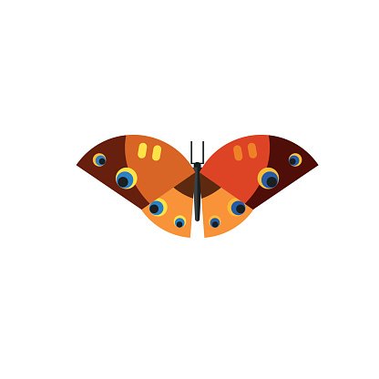 Detail Brauner Schmetterling Mit Punkten Nomer 5