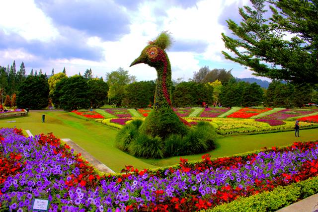 Detail Foto Taman Bunga Yang Indah Nomer 13