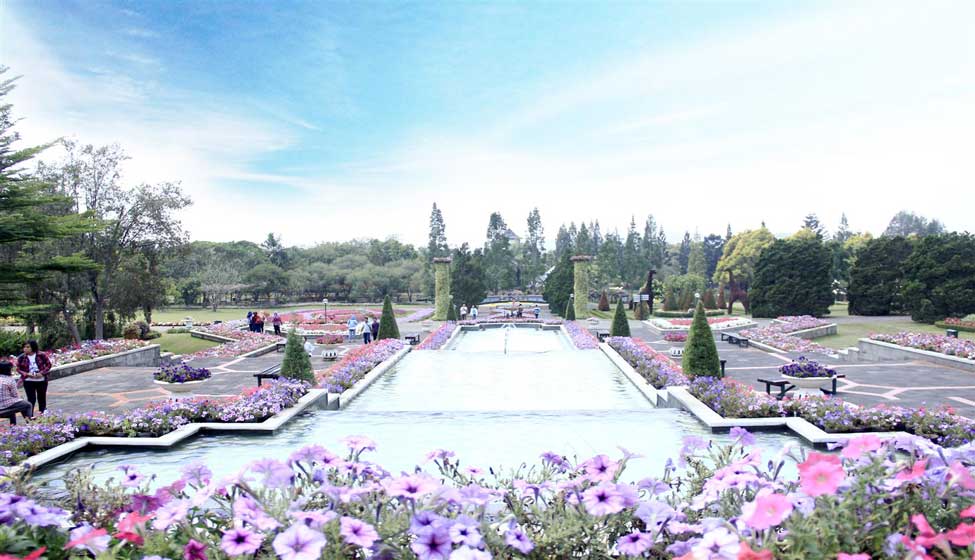 Detail Foto Taman Bunga Yang Indah Nomer 43