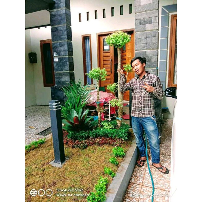 Detail Foto Taman Rumah Minimalis Nomer 18