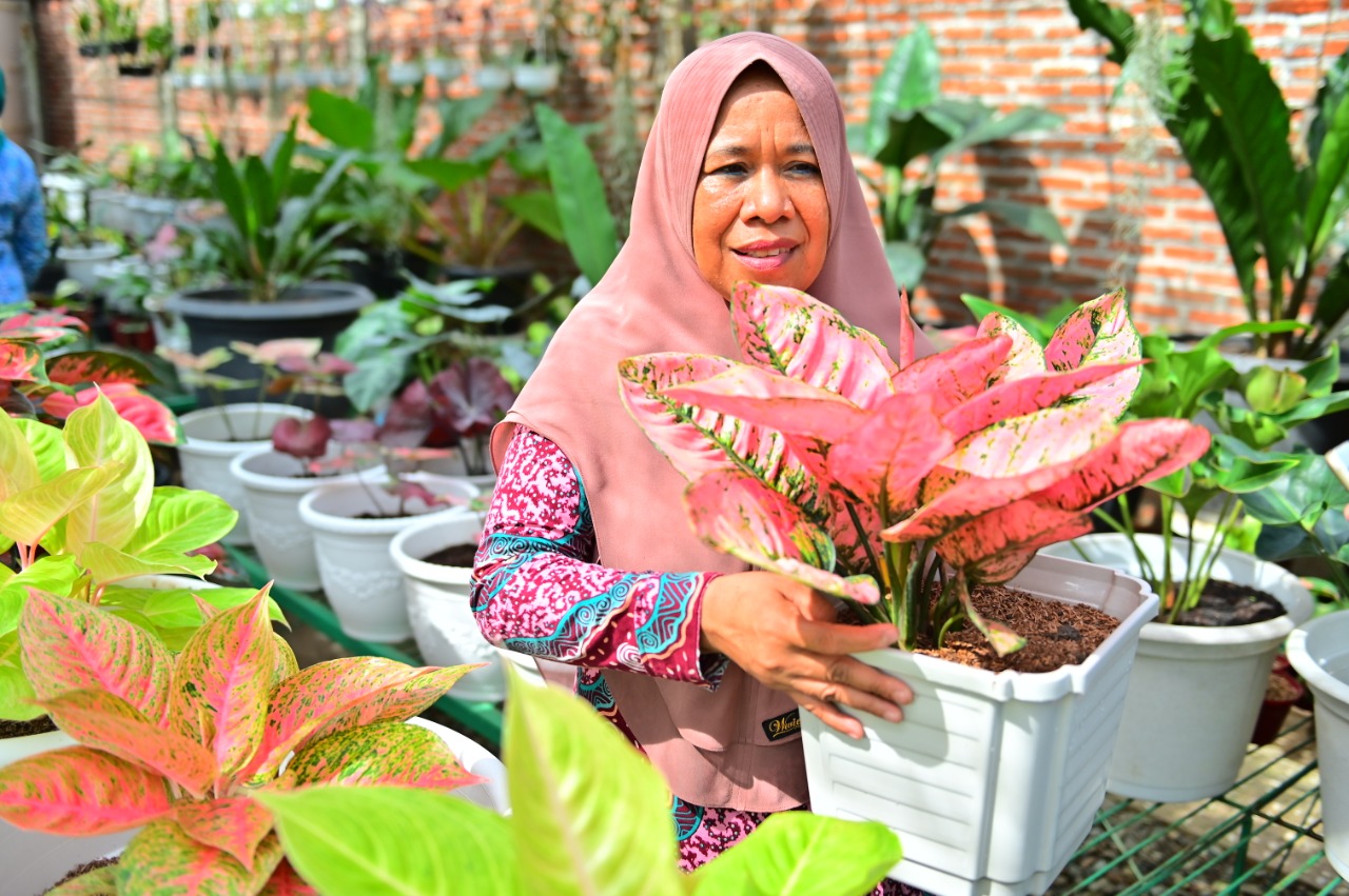 Detail Foto Tanaman Hias Yang Lagi Viral Nomer 19