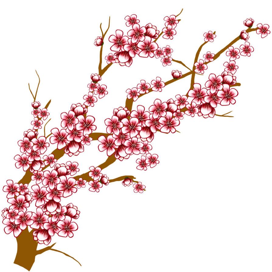 Detail Clipart Cherry Outline Nomer 15