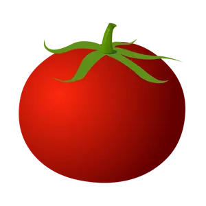 Detail Clipart Tomate Nomer 8