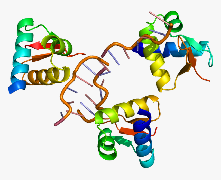 Detail Dna Without Background Nomer 16