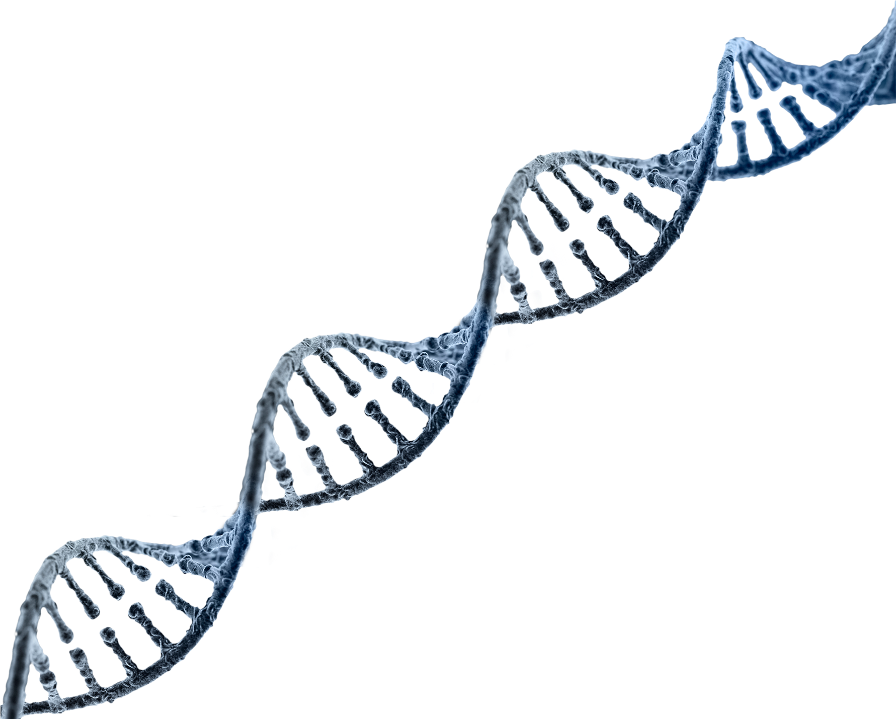 Detail Dna Without Background Nomer 19