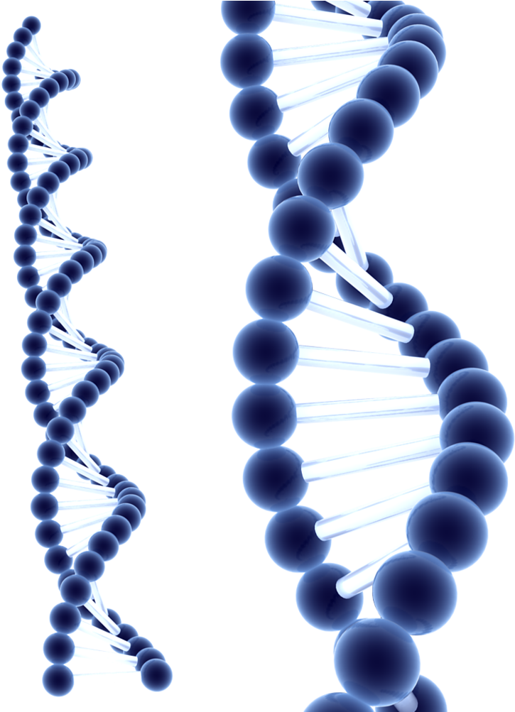 Detail Dna Without Background Nomer 20