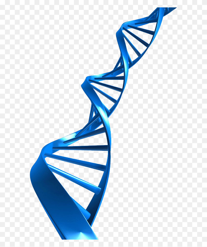 Detail Dna Without Background Nomer 4