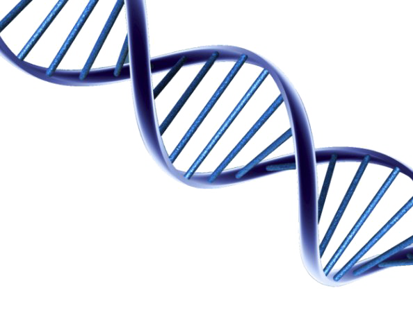 Detail Dna Without Background Nomer 6