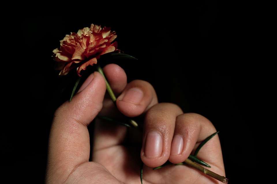 Detail Foto Tangan Memegang Bunga Nomer 12