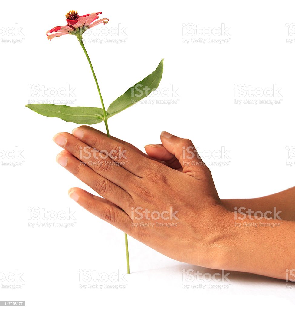 Detail Foto Tangan Memegang Bunga Nomer 30