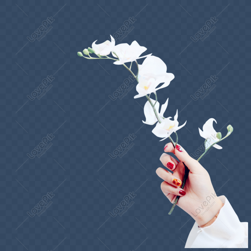Detail Foto Tangan Memegang Bunga Nomer 5