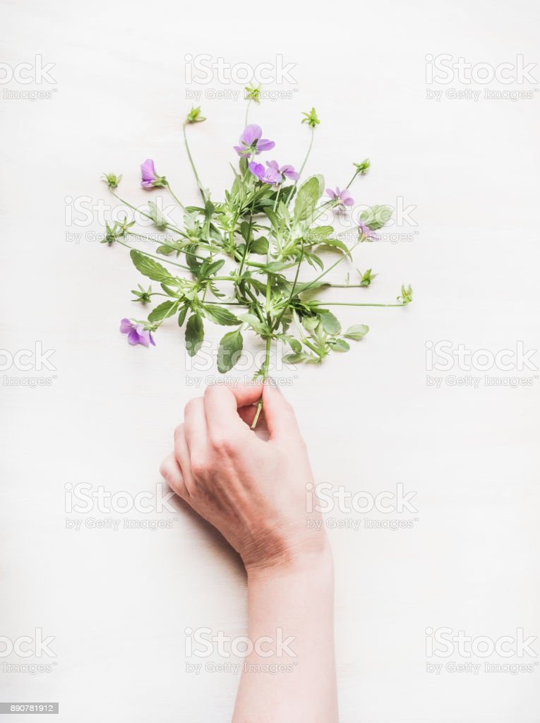 Detail Foto Tangan Memegang Bunga Nomer 43