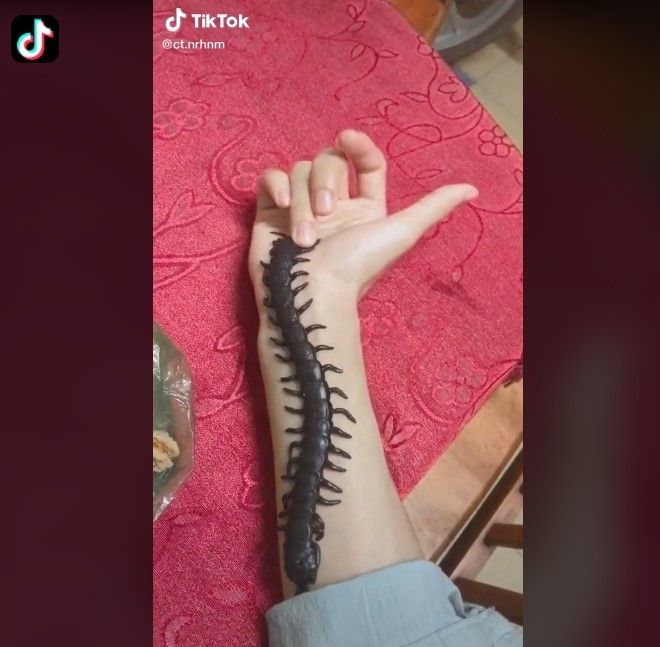 Detail Foto Tangan Viral Tiktok Nomer 51