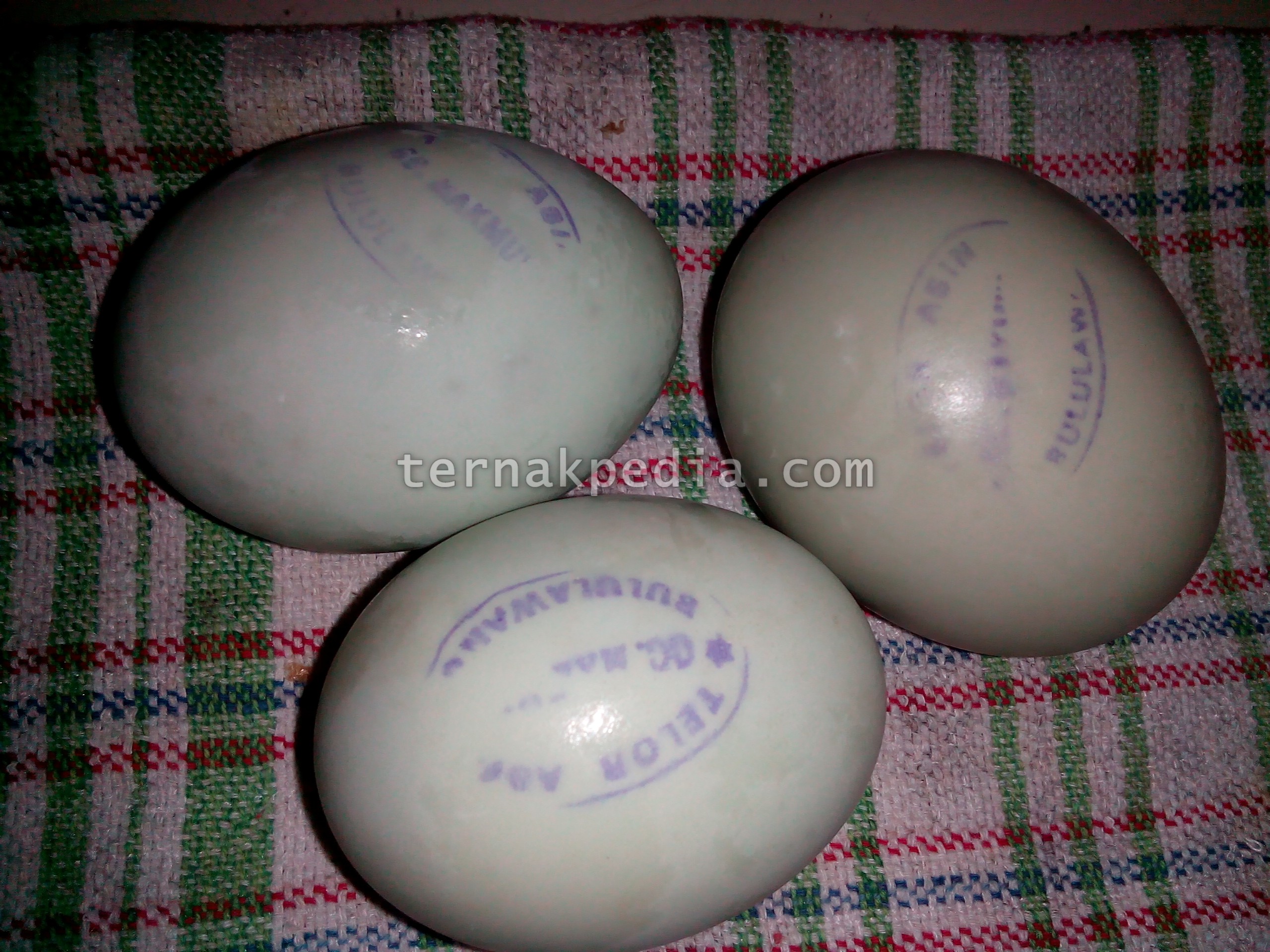 Detail Foto Telur Asin Bebek Nomer 41