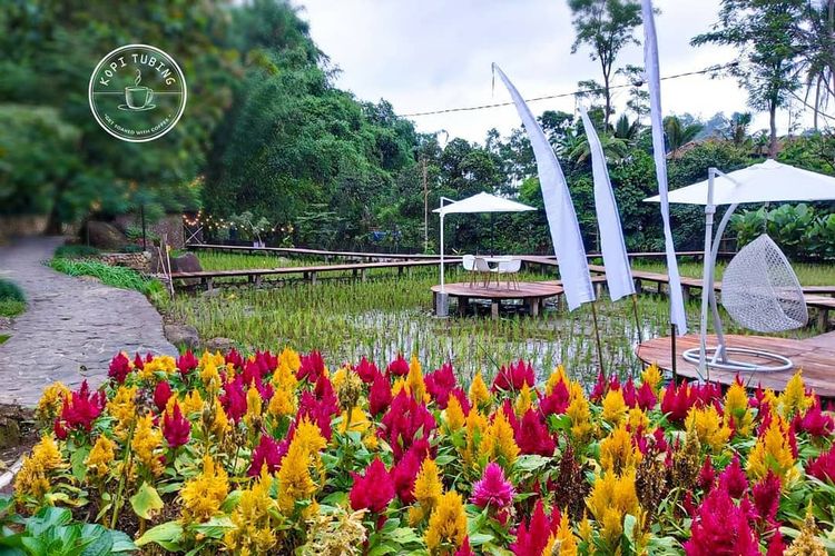 Detail Foto Tempat Wisata Di Bogor Nomer 42