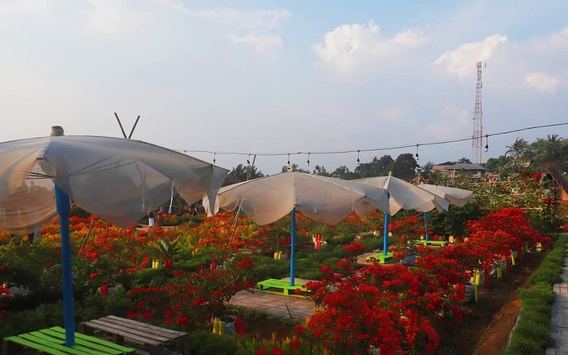 Detail Foto Tempat Wisata Di Bogor Nomer 49