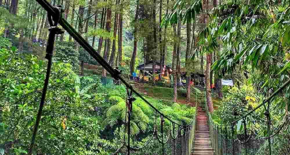 Detail Foto Tempat Wisata Di Bogor Nomer 7