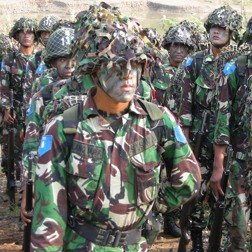 Detail Foto Tentara Angkatan Udara Nomer 18