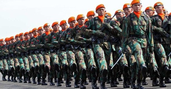 Detail Foto Tentara Angkatan Udara Nomer 46