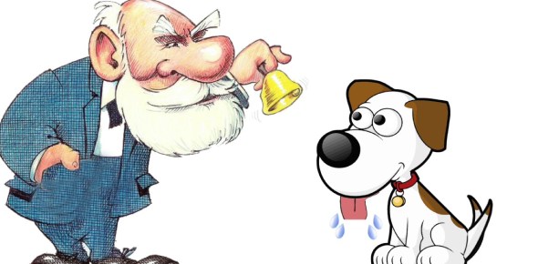 Pavlov Images - KibrisPDR