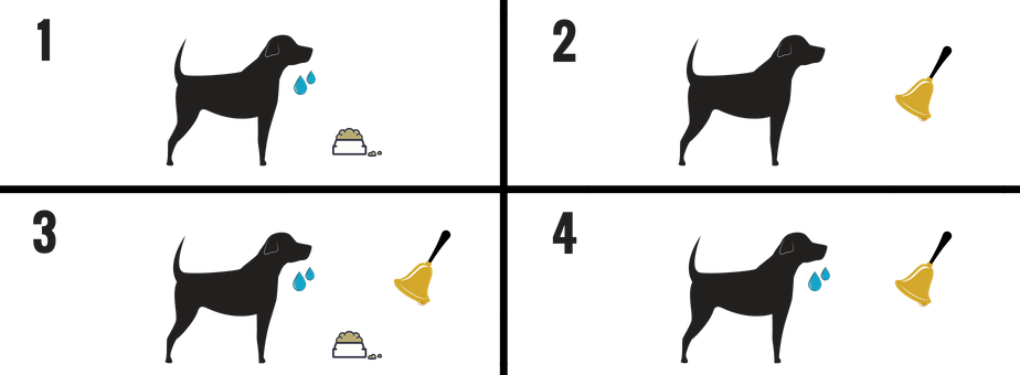 Detail Pavlov Images Nomer 3
