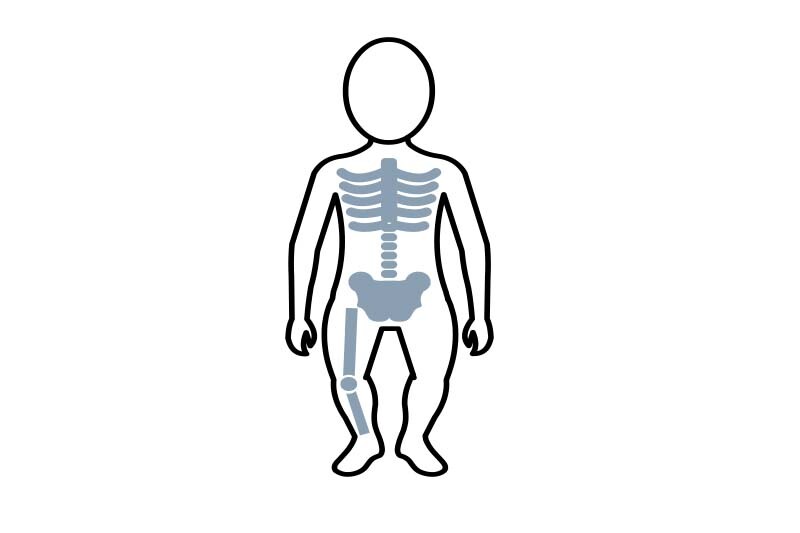 Detail Anatomie Mensch 3d Nomer 13