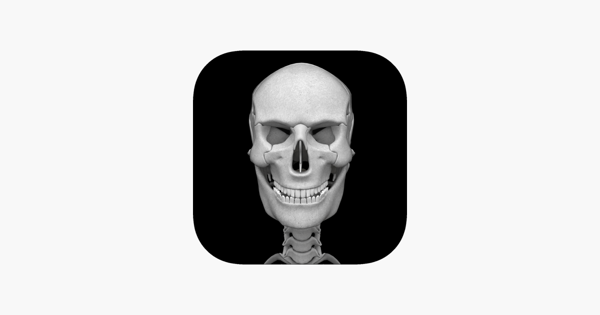 Detail Anatomie Mensch 3d Nomer 25