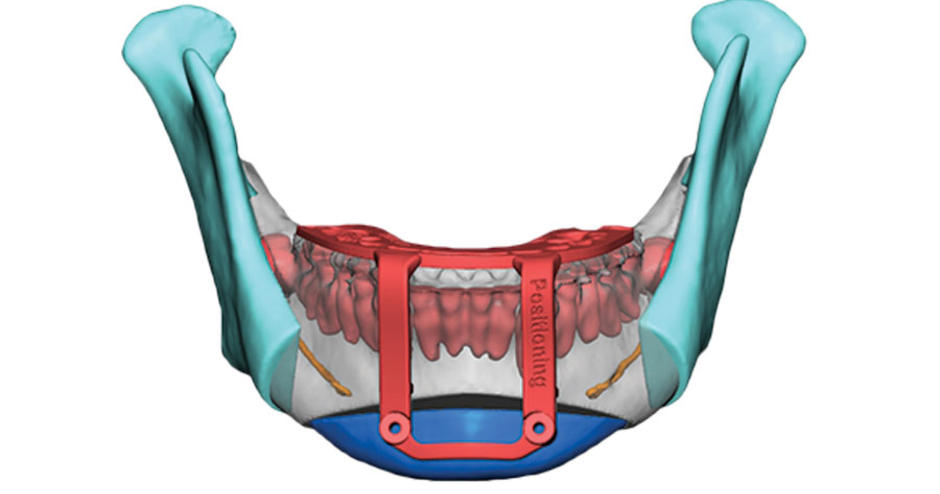 Detail Anatomie Mensch 3d Nomer 6