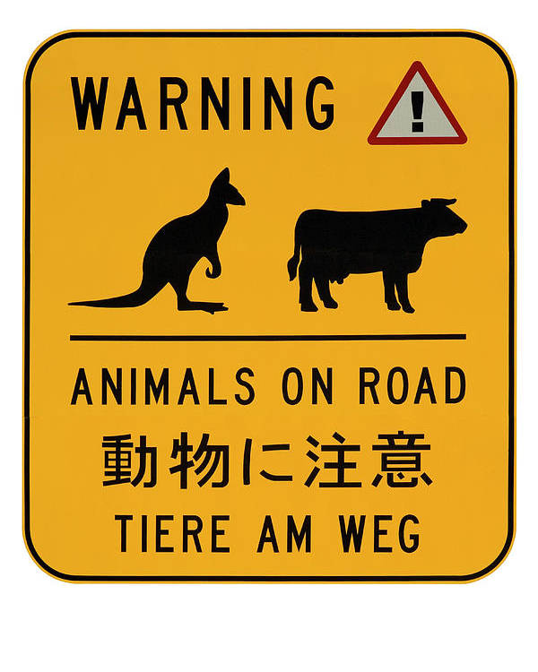 Detail Australia Road Signs Animals Nomer 19